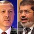 الرئيس يبحث مع أردوغان غدًا جدولة ملياري دولار مساعدات تركية لمصر