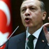 أردوغان: لن نعتذر عن اسقاط طائرة الحرب الروسية
