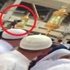فيديو/ القبض على مُختل حطم أنوار "حجر اسماعيل" في الحرم المكي!