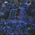 الهلال يتعثر بالتعادل مع الشعلة