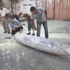 مائة قتيل في غزة وقصف مطار بن غوريون وصواريخ من لبنان على الجليل مائة قتيل في غزة وقصف مطار بن غوريون وصواريخ من لبنان على الجليل