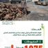 الرياض : ضبط 1075 طناً من الحطب المحلي المعروض للبيع