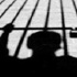 حبس حارس مقابر يقوم بالاتجار فى المتوفين
