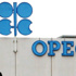 أوبك ترى مخاطر نزولية في 2013 والسعودية تخفض الإنتاج