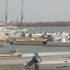 منع 600 قارب بدارين من الإبحار بأمر الرياح