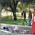 تونسيون عاطلون عن العمل: 'اِمْشِ اِمْشِ' لحين تنصت الحكومة