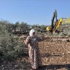 الاحتلال يقتلع أشجار زيتون بالضفة ويهدد بالمزيد