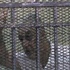 مصدر قضائي: تحديد جلسة لإعادة محاكمة «فهمي» وقيادات البترول الأيام المقبلة مصدر قضائي: تحديد جلسة لإعادة محاكمة «فهمي» وقيادات البترول الأيام المقبلة
