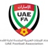 الإمارات تغير اسم الدورى المحلي لـ«دوري الخليج العربي» في خطوة مفاجئة الإمارات تغير اسم الدورى المحلي لـ«دوري الخليج العربي» في خطوة مفاجئة