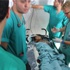 العملية البرية- قصف واطلاق نار.. 5 شهداء وجرحى العملية البرية- قصف واطلاق نار.. 5 شهداء وجرحى