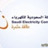 فتح باب التسجيل في برنامج التدريب المنتهي بالتوظيف بشركة الكهرباء