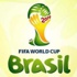 13 مليار دولار تكلفة كاس العالم لكرة القدم في البرازيل