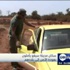 سكان مدينة سيغو يأملون بعودة الأمن إلى بلادهم سكان مدينة سيغو يأملون بعودة الأمن إلى بلادهم