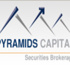 شطب اختياري لبيراميدز كابيتال لتداول الاوراق برأس مال 20مليون جنيه