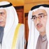 بدء إجراءات تنفيذ مشروع الشدادية السكني في مايو