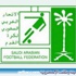 إجراء قرعة مسابقة كأس خادم الحرمين الشريفين للأبطال "الاثنين القادم"