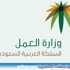 وزارة العمل: الحد الأدنى للأجور لا ينطبق على العاملين بالقطاع الخاص وزارة العمل: الحد الأدنى للأجور لا ينطبق على العاملين بالقطاع الخاص
