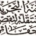 «تقصي الحقائق»: «درع الجزيرة» لصد التهديدات الأجنبية ولم تنفذ أي عملية داخلية «تقصي الحقائق»: «درع الجزيرة» لصد التهديدات الأجنبية ولم تنفذ أي عملية داخلية