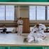 مواجهة مرتقبة لتهاني القحطاني في أكبر مشاركة في تاريخها مواجهة مرتقبة لتهاني القحطاني في أكبر مشاركة في تاريخها