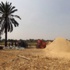 وزير سابق: المخزون المصري من القمح المستورد يكفي أقل من شهرين