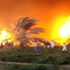 حريق بمركز البحوث الزراعية يدمر فدان قمح و150 شجرة برتقال بسوهاج حريق بمركز البحوث الزراعية يدمر فدان قمح و150 شجرة برتقال بسوهاج