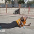 سقوط 4 صواريخ في أشكول دون إصابات وصفارات الانذار تدوي في أشكلون