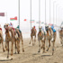 نتائج مميزة ضمن الجولة الأولى من تحدي البحرين روتكس نتائج مميزة ضمن الجولة الأولى من تحدي البحرين روتكس