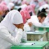 نسبة النجاح 97% للمرحلة الابتدائية و93% للمتوسطة و89% للثانوية نسبة النجاح 97% للمرحلة الابتدائية و93% للمتوسطة و89% للثانوية