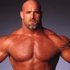 مصارعة - WWE - المصارع غولد بيرج يتمنى تنفيذ ضربته القاضية على الفلسطينيين!