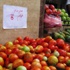 «المجمعات الاستهلاكية»: كيلو الطماطم بـ 4.75 قرش والبامية بـ18 جنيه
