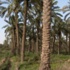 ميسان: تسجيل 21 الف مراقب انتخابات ميسان: تسجيل 21 الف مراقب انتخابات