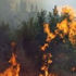 إغلاق المدارس وإلغاء الرحلات الجوية بجزيرة سومطرة الإندونيسية بسبب حرائق الغابات