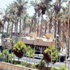 إجهاض إرهاب "الإخوان" في جمعة "العبوات الناسفة"