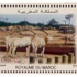 لمناسبة مئة عام على أول إصدار بريدي مغربي