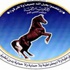 اليمن: الرئيس السابق يعلن شروطا جديدة لمغادرة البلاد اليمن: الرئيس السابق يعلن شروطا جديدة لمغادرة البلاد