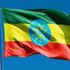 إثيوبيا تبقي على الخدمات المالية المحلية في لوائحها الجديدة للاستثمار