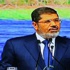 البرادعي يدعو 'مرسي' للاستقالة
