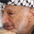 الاحتمالات كلها مفتوحة في وفاة ياسر عرفات