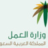 مكتب العمل بالطائف يواصل جولاته التفتيشية