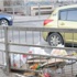 أهالي رأس الرمان: فئران كبيرة في منازلنا أهالي رأس الرمان: فئران كبيرة في منازلنا