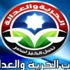 قيادي إخواني يتهم «الدستور» بـ«التفاهة» بسبب «لا لأخونة مدينة نصر»