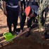 الامن العام يحتفل بيوم الشجرة