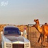 ما السبب الذي جعل رولز رويس تقاضي تاجر إبل إماراتي؟