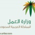 نائب وزير العمل : تنظيم عمل المرافقين جاء بديلاً للاستقدام من الخارج