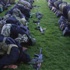 ''الله .. سوريا.. سلاحي'' ألامل فى صورة ''الله .. سوريا.. سلاحي'' ألامل فى صورة