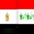 مندوب عراقى: مصر سيكون لها النصيب الأكبر فى إعادة الإعمار مندوب عراقى: مصر سيكون لها النصيب الأكبر فى إعادة الإعمار