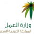 مكاتب البريد السعودي تستقبل عملاء وزارة العمل قريباً
