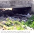 مواطنون يشكون تحول وادي الجرم بالمشارع الى مكاره صحية ( مصور)