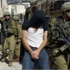 الاحتلال يعتقل 13 فلسطينيا بالضفة الغربية
