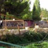 "حزب الله" استولى على مسجد "سني" اثري في منطقة بعلبك "حزب الله" استولى على مسجد "سني" اثري في منطقة بعلبك